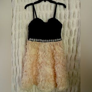 Formal / Homecoming Dress